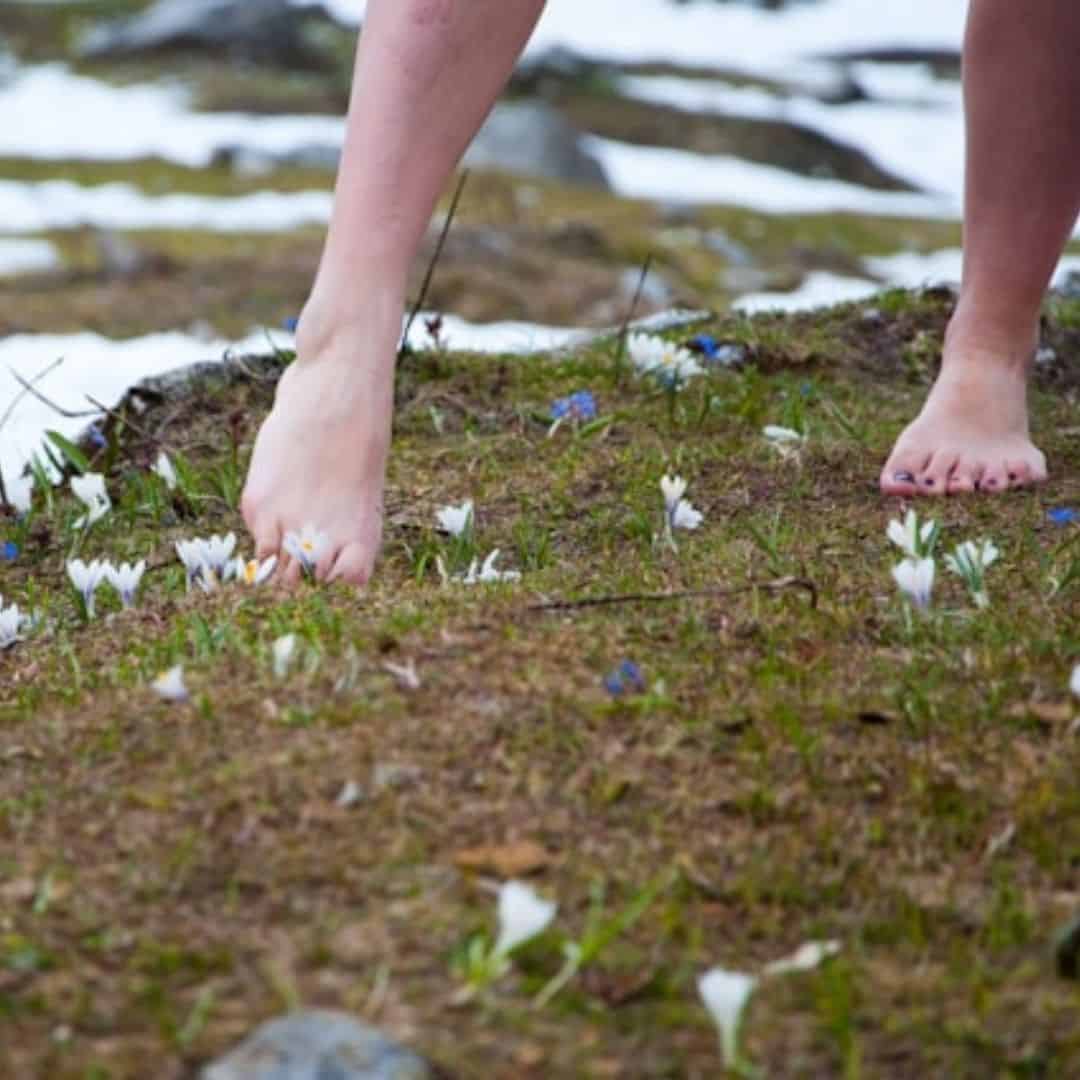 bare feet on recently thawed ground with snow patches around, along with crocus blooming