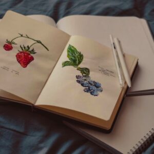 Engage with God in creation through nature journaling and lectio divina, using observation, prayer, and reflection to connect inner and outer life.