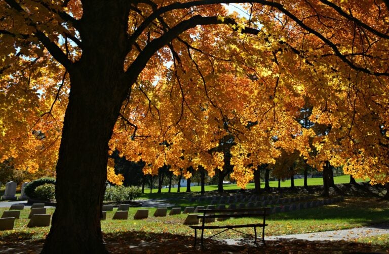 fall in the cemetary at the mount