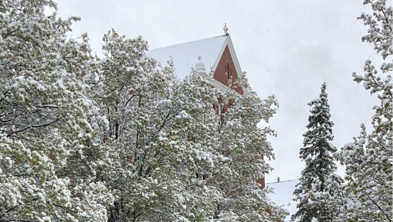 Snowy trees on the monastery campus, with the peak of the monastery in the background