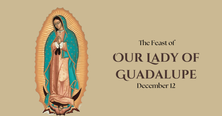 The Feast of Our Lady of Guadalupe – Benedictine Sisters of Mount St ...
