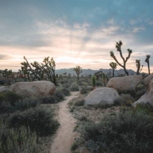 path through the desert towards sunrise
