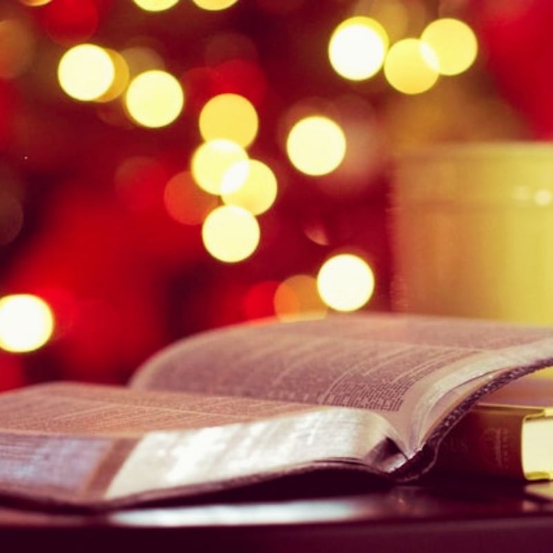 open Bible with soft Christmas lights in the background
